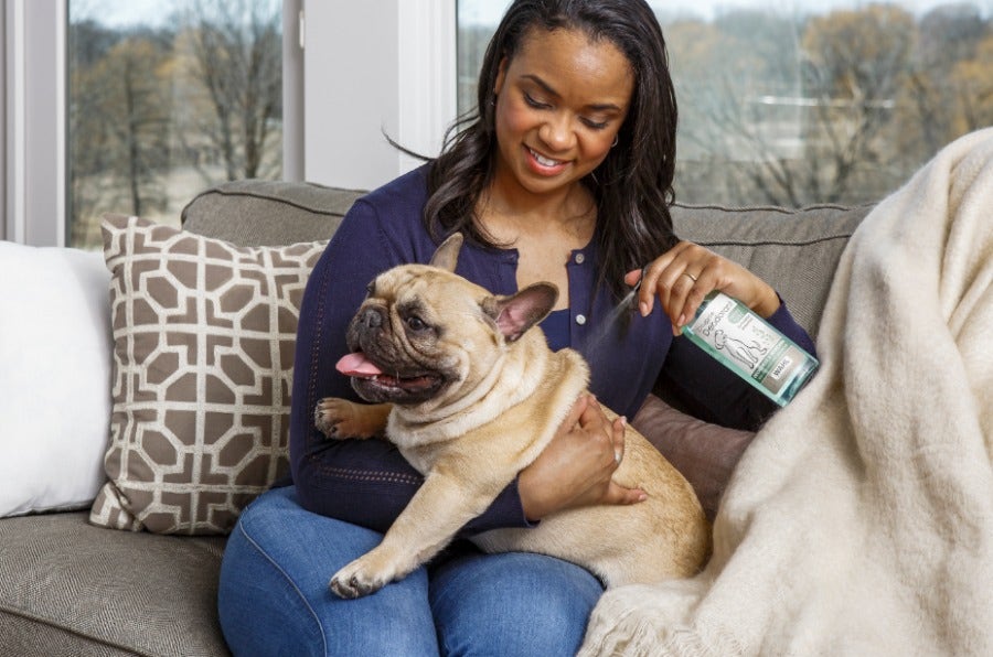 Woman spraying dog with dog deodorant.